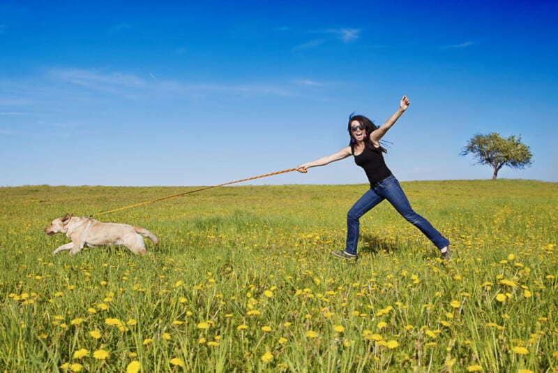 Dog pulling a woman in a flowery field - overstimulated hyper dog