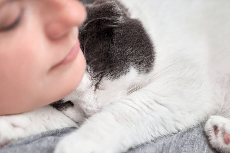 a pet cat sleeping next to its owner