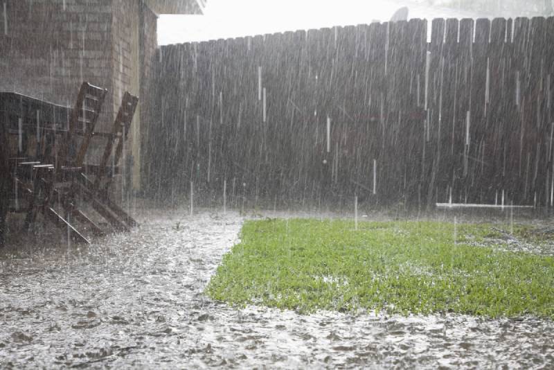 very heavy rain in the backyard