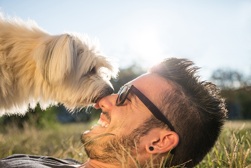 dog lying on the man while licking his nose