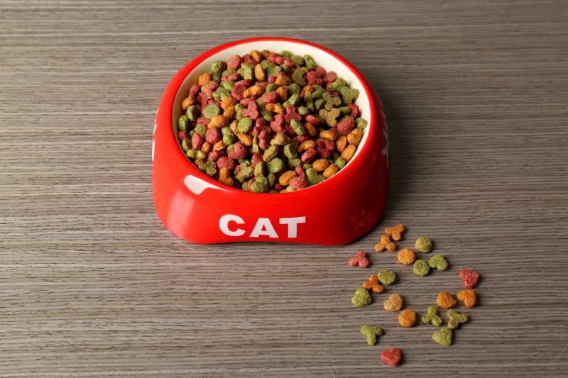 Cat food in bowl on wooden background